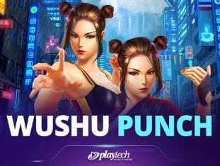 Wushu Punch™ game icon